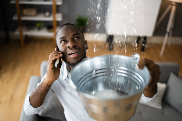 Best Water damage restoration specialists  in Greenacres, FL