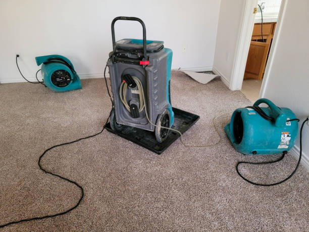 Best Basement water damage restoration  in Greenacres, FL