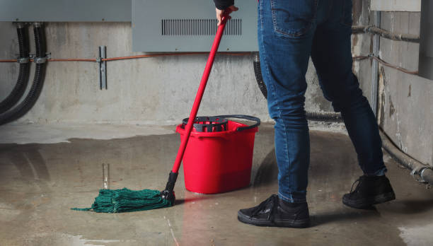 Best Flood restoration services  in Greenacres, FL