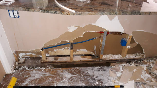 Best Mold removal after water damage  in Greenacres, FL