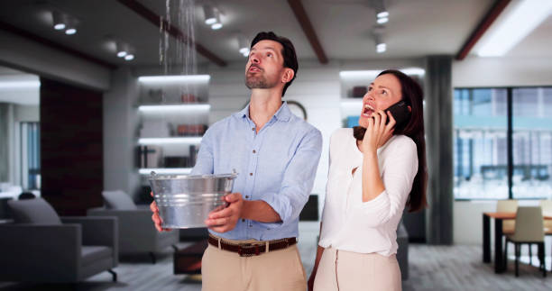 Best Water damage cleanup near me  in Greenacres, FL