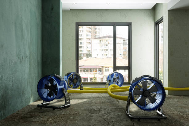 Best 24-hour water damage restoration  in Greenacres, FL